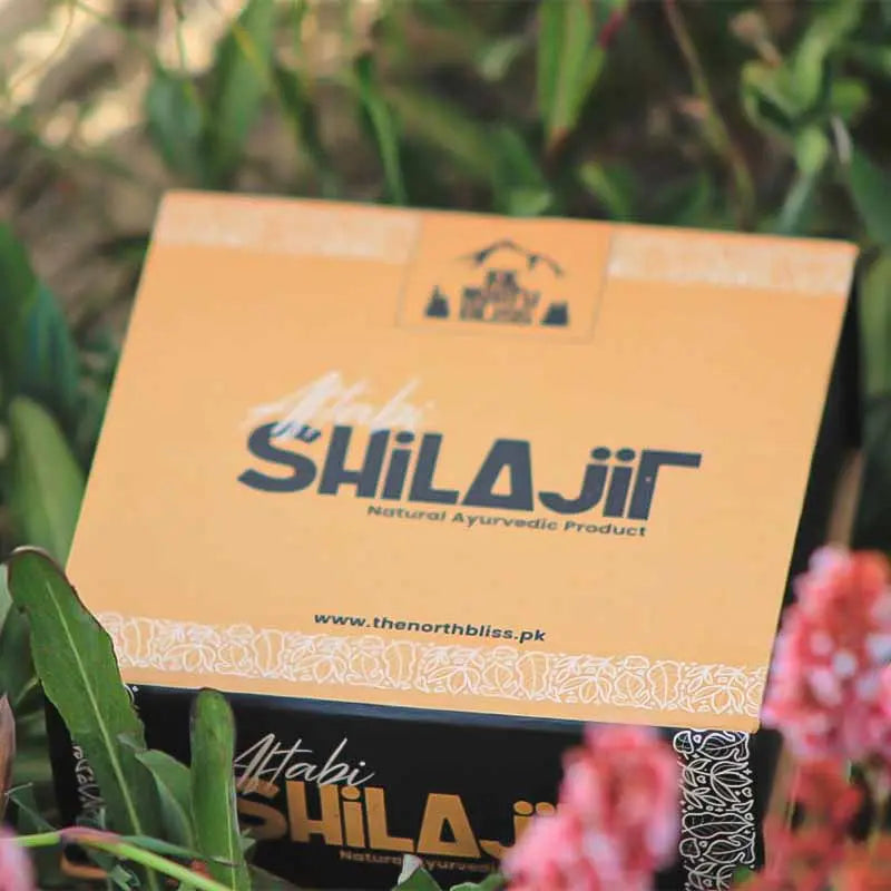 Pure Shilajit from The North Bliss